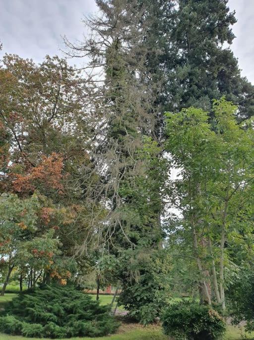 Propriete De Campagne Villa Vierzon Kültér fotó